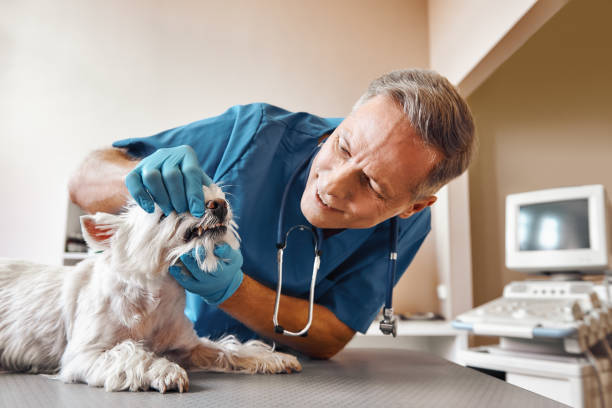 Best Cracked Tooth Emergency Dentist  in Halstead, KS