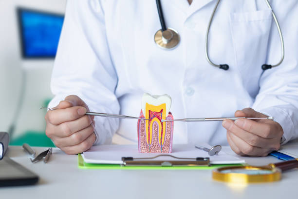 Best Emergency Tooth Extraction  in Halstead, KS